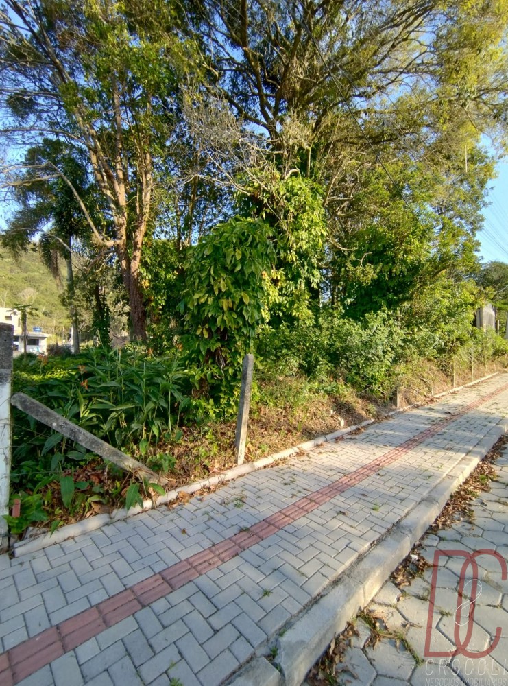 Terreno Z� Amandio 294m2