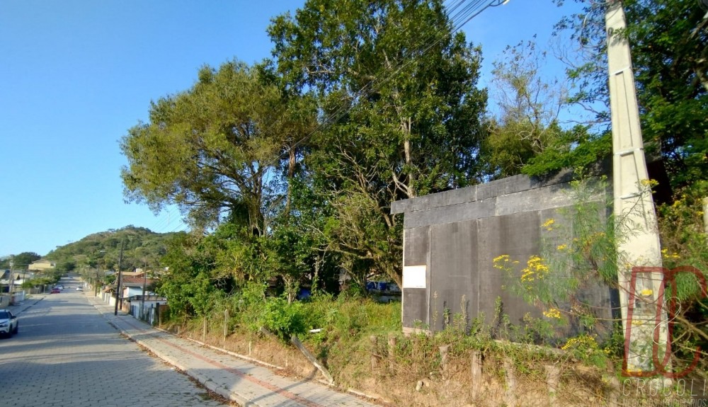 Terreno Z� Amandio 294m2