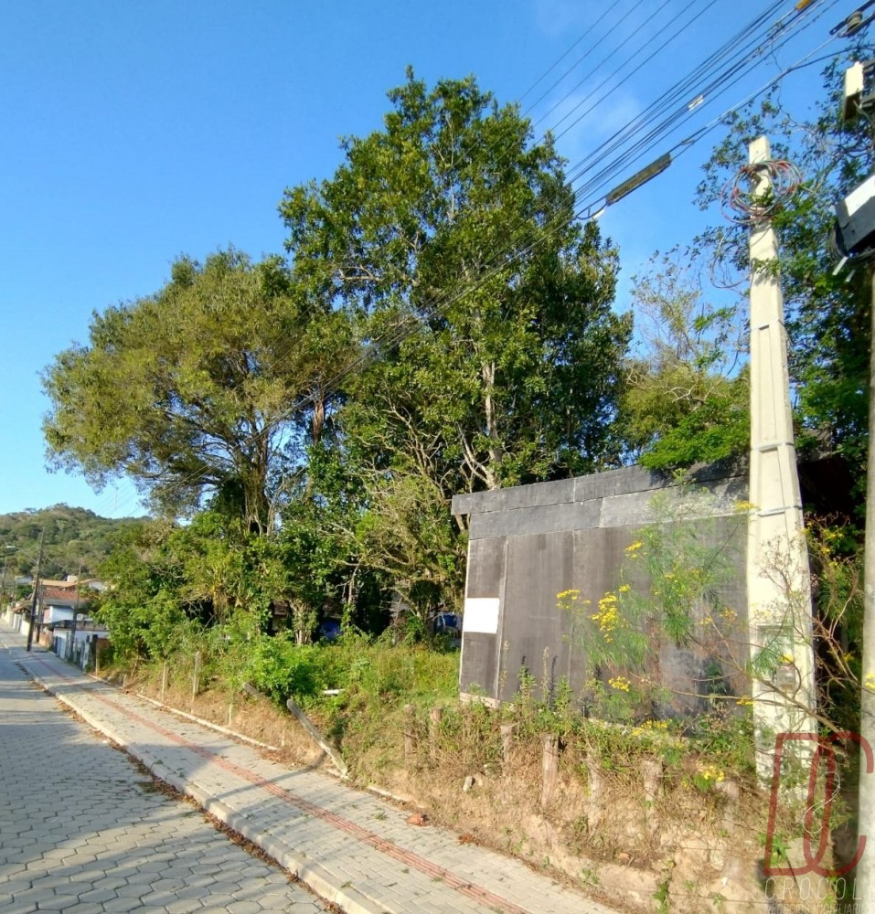 Terreno Z� Amandio 294m2