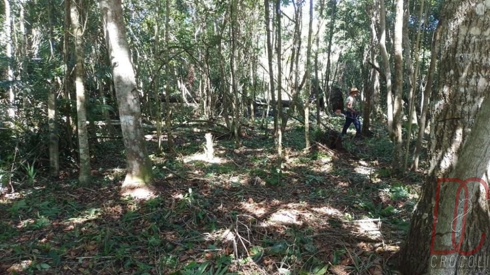 TERRENO A VENDA EM MARISCAL BOMBINHAS